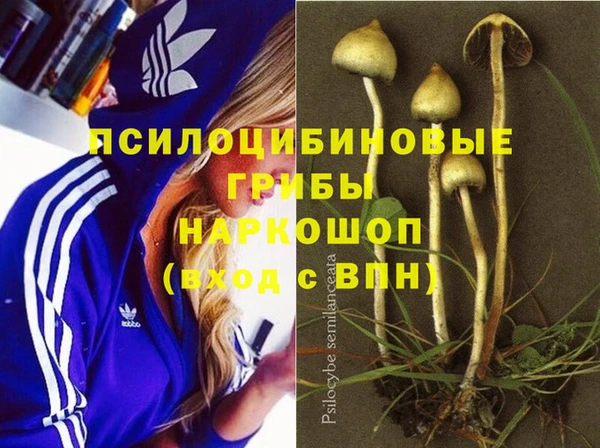 каннабис Баксан