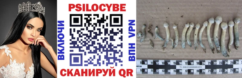 Псилоцибиновые грибы Psilocybe  hydra как войти  Шали 