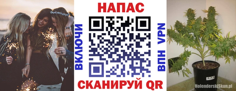 МАРИХУАНА гибрид  где найти   Шали 
